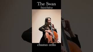 Download lagu 《The Swan 白鳥》Le Cygne:Saint-Saëns サンサーンス チェロソロ&ピアノ cello solo & piano 『Covered by Chumo』#shorts mp3 Download lagu 《The Swan 白鳥》Le Cygne:Saint-Saëns サンサーンス チェロソロ&ピアノ cello solo & piano 『Covered by Chumo』#shorts mp3