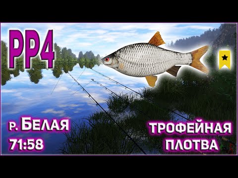 Фото ТРОФЕЙНАЯ ПЛОТВА НА БЕЛОЙ РР4 / РУССКАЯ РЫБАЛКА 4 РЕКА БЕЛАЯ ТРОФЕЙНАЯ ПЛОТВА / RF4 BELAY RIVER