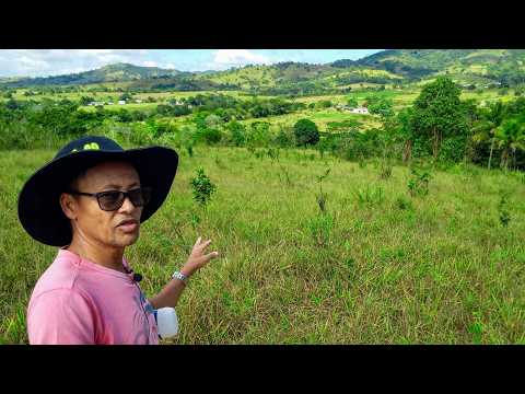SÍTIO EM PERNAMBUCO COM 80.000M² 8 HECTARES NOSSO SÍTIO EM GOIANA PERNAMBUCO 