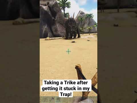 Taking a Trike After Getting it Stuck in My Trap!