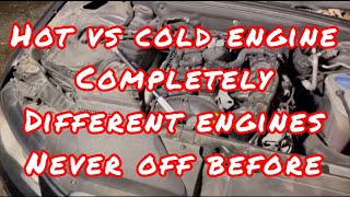 2.0t Replacing Audi Oxygen 02 sensors primary secondary Hot vs Cold engine removing test a4 a5 a6 q5