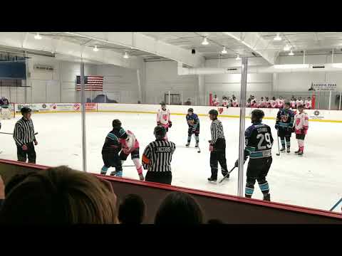 New Mexico Ice Wolves vs. Mudbugs fight