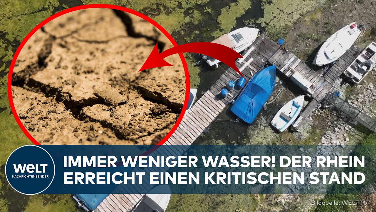 RHEINLAND-PFALZ: Rhein trocknet aus! Niedrigwasser legt Boote trocken und bremst Schiffe aus