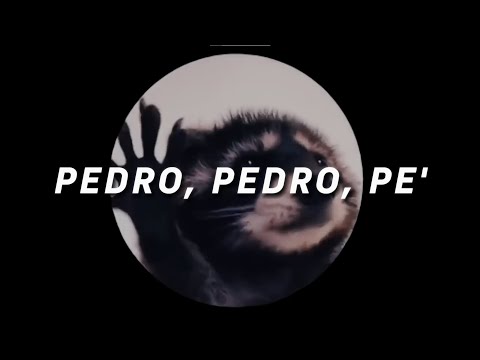 PEDRO - Raffaella Carrà, Jaxomy, Agatino Romero (LETRA) pedro pedro pedro pe