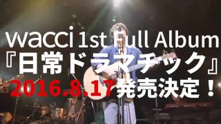 【wacci】ツアー2016夏 プロモーション映像到着！