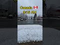 Canada Life