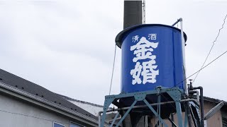 400년의 전통, 고대 사케를 만드는 도쿄의 양조장 탐방기