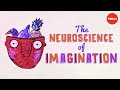 The science of imagination - Andrey Vyshedskiy