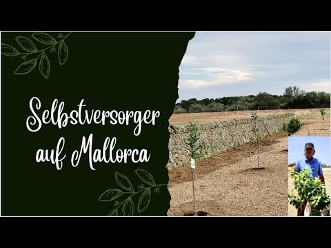 Aller Anfang ist schwer / Teil 1