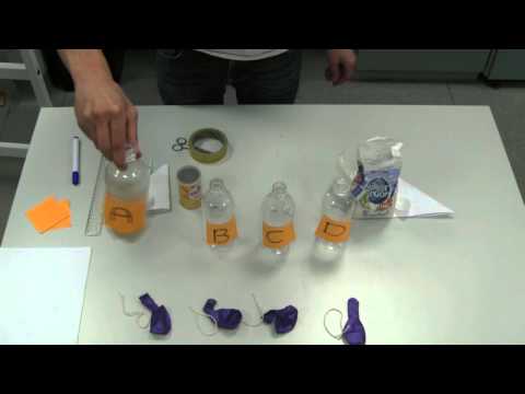 Yeast and Fermentation: Experiment