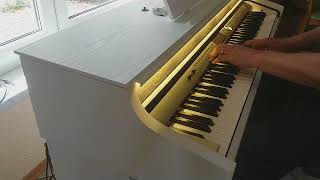 Video thumbnail for Thomann Digitalpiano DP 95, auspacken und ausprobieren - Soundbeispiele - Unboxing by richichristl