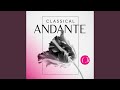 Piano Concerto in G Minor, Op. 33: II. Andante sostenuto