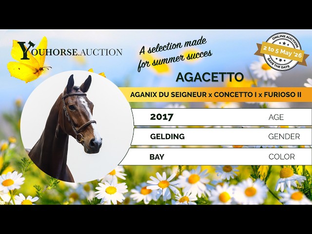 Agacetto