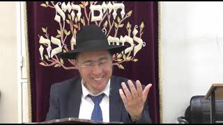 מרתק! פרשת מטות מסעי תשפ"ד הרב שלמה ברסקה שליט"א