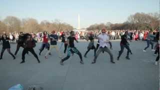 Capital Funk Flashes the National Mall!