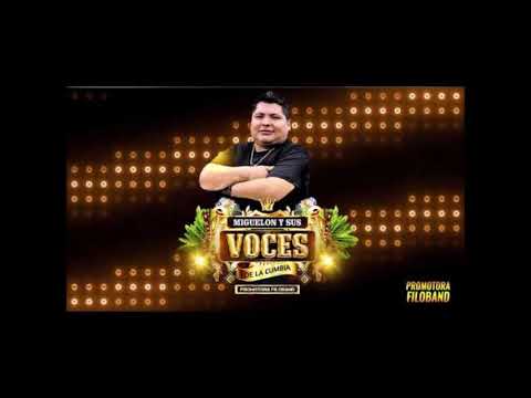 Mix perdida, humo alcohol y madrugada - Miguelon y las Voces de la cumbia PISTA GRATIS