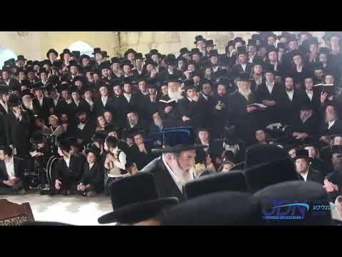 Viznitz Rebbe Counting Sefira at The Kosel - Sivan 5783