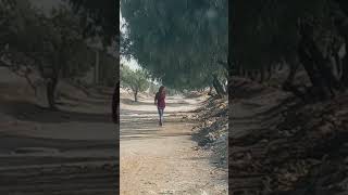 ADIOS PRINCESA José Jose