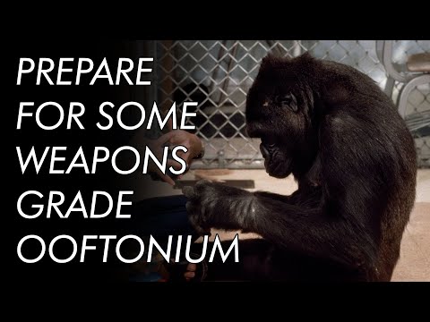 Why Koko (Probably) Couldn't Talk (Sorry) | The Deep Dive