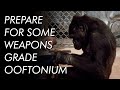 Why Koko (Probably) Couldn't Talk (Sorry) | The Deep Dive DEFAULT Thumbnail