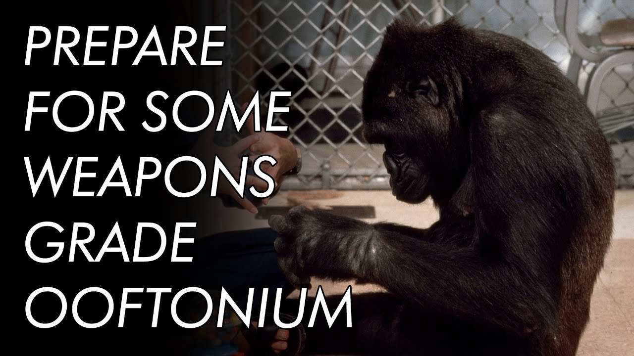 Why Koko (Probably) Couldn't Talk (Sorry) | The Deep Dive