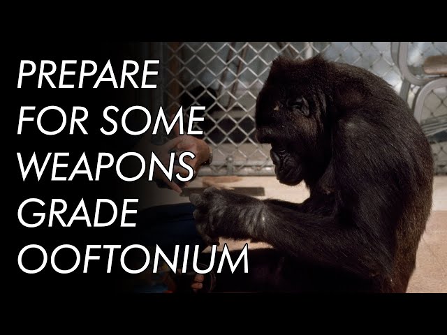 Why Koko (Probably) Couldn't Talk (Sorry) | The Deep Dive SDDEFAULT Thumbnail