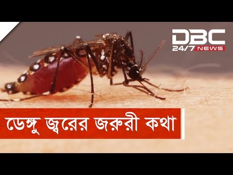 ডেঙ্গু জ্বর হলে করণীয় এবং সতর্কতা। জনস্বার্থে শেয়ার করুন