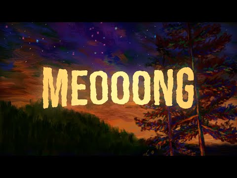 MEOOONG ASMR : Healing Camp