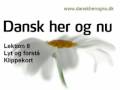 Dansk her og nu - Lektion 9 - Lyt og forstaa - Klippekort 