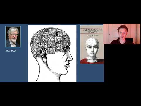 First Order Theory Representation / Recurrent Processing Theory   session 1