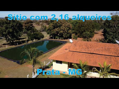 Sítio com 2,16 alqueires, no Prata - MG
