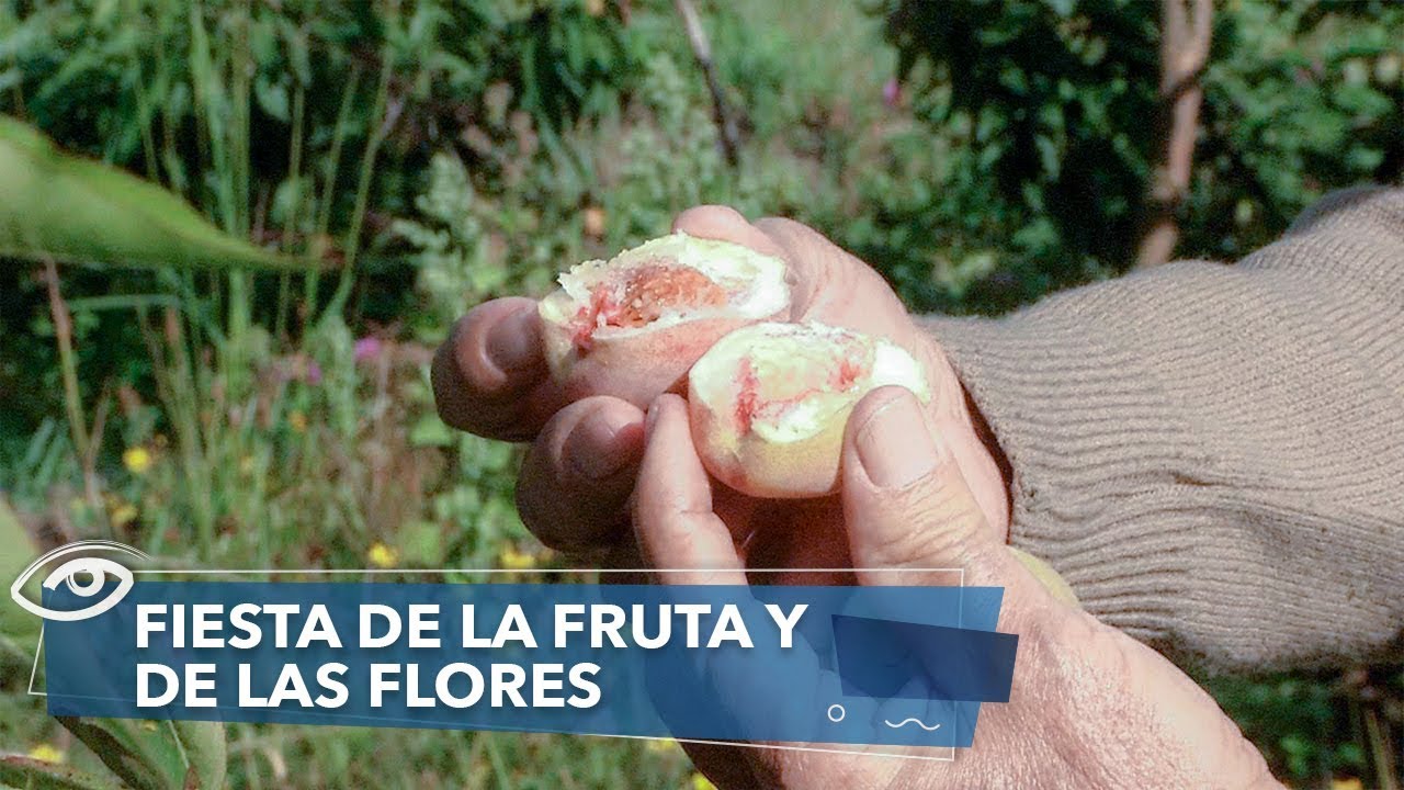 Fiesta de la fruta y de las flores - Día a Día - Teleamazonas