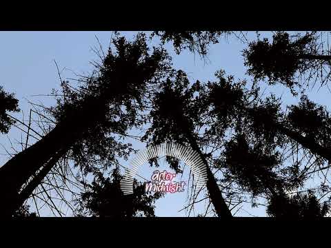 Wndln - Airwave (Jiminy Hop Remix) [WEEK DAYS MOOD COLLECTION #7]