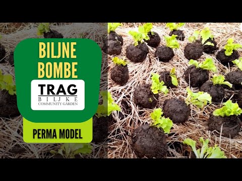 PLANT BOMBS FOR ABOVE-GROUND PERMA MODELS
