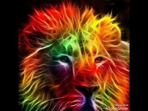 MELÔ DE SUPERMAN 2015