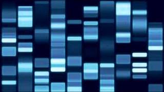 bebel gilberto :: azul