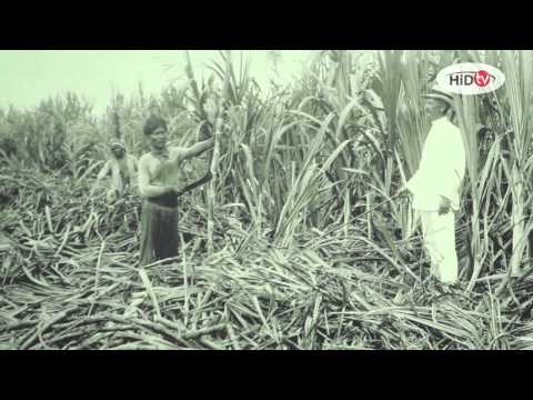 HiD TV Aflevering 27 - deel 1