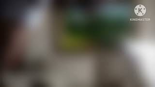 1444 original *BLURRED MASSIVELY SO I DONT GET STRIKED, audio muted!*