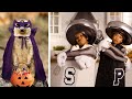 What S Trending Now TV SmashUps By American Greetings