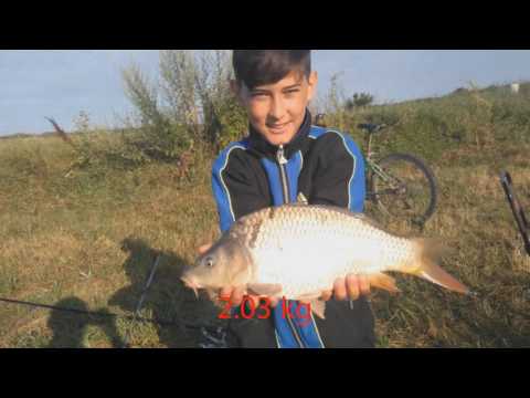 Laguna Verde: Supper Fly Momitor-Etető kosár!