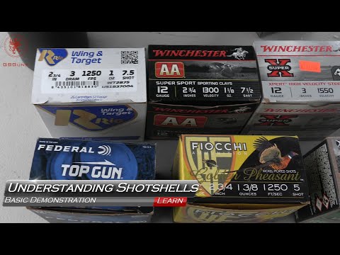 Understanding Shotgun Ammo
