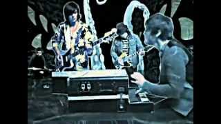 Seabird - Rescue