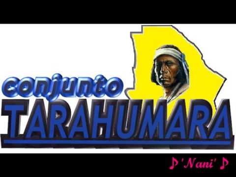 Tu Mirada Conjunto Tarahumara En Vivo