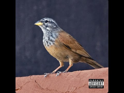 nessyou-younes (intro) instrumental by two zero[remake]