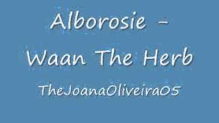 Alborosie - Waan The Herb