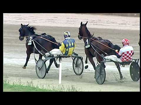 Napoli Trotto 22/10/2021 - 1ª corsa