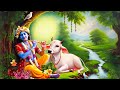 Krishna Flute Meditation Flute Music Morning Relaxing Indian Bansuri For Stress Relief Healing