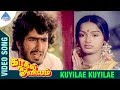 Kaadhal Oviyam Tamil Movie Songs Kuyilae Kuyilae Video Song Radha Kannan Ilayaraja