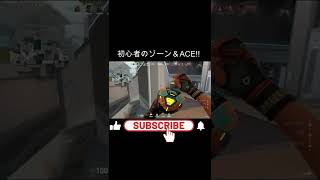 えいくです　　＃valorant #EIKUyoutube #ace #shorts