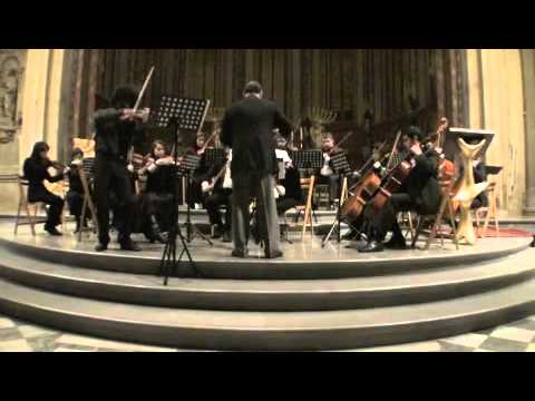 Peteris Vasks -Concerto For Violin And String Orchestra (Distant Light)
